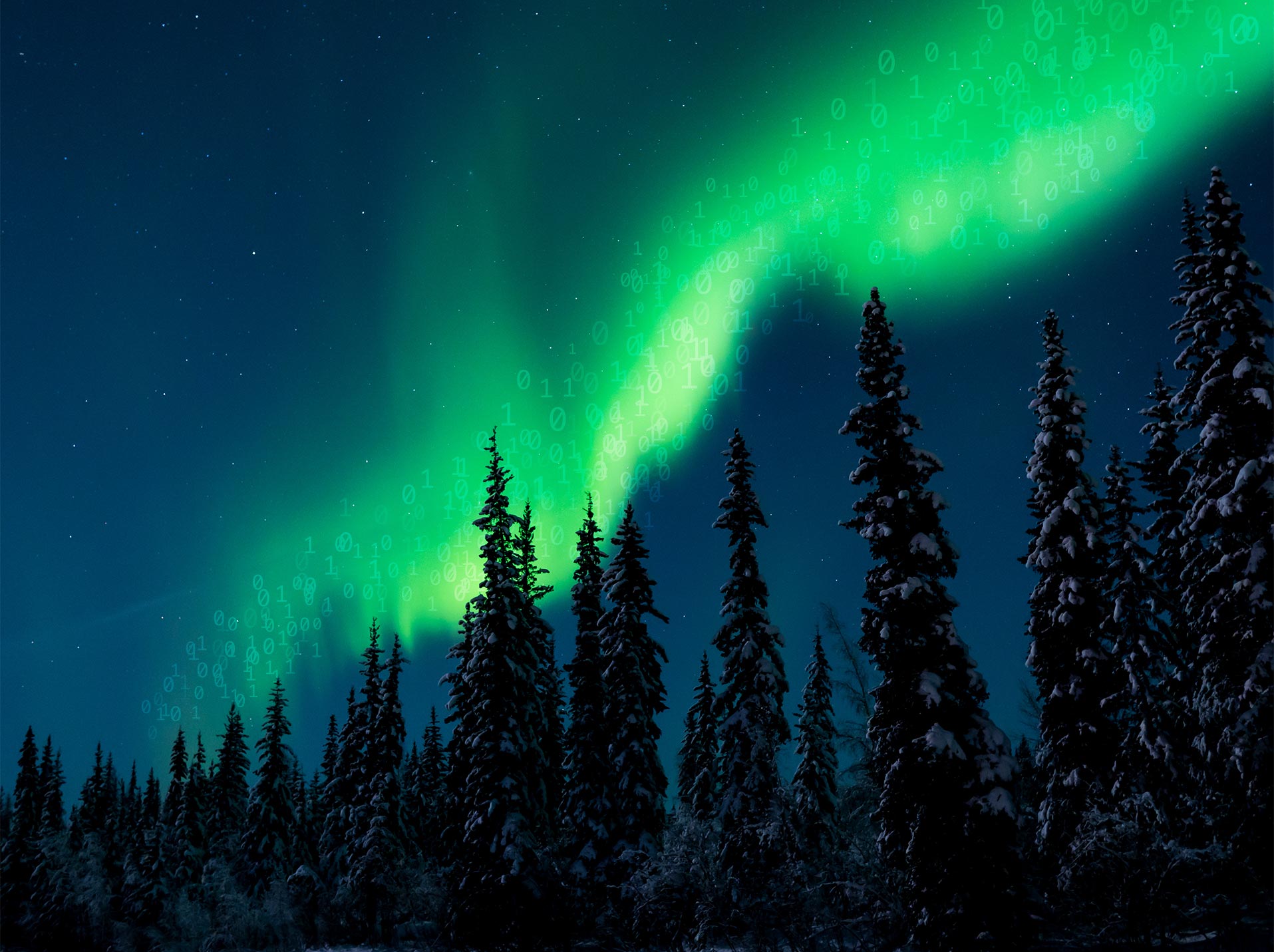 Who We Are Arctic Digital Mining