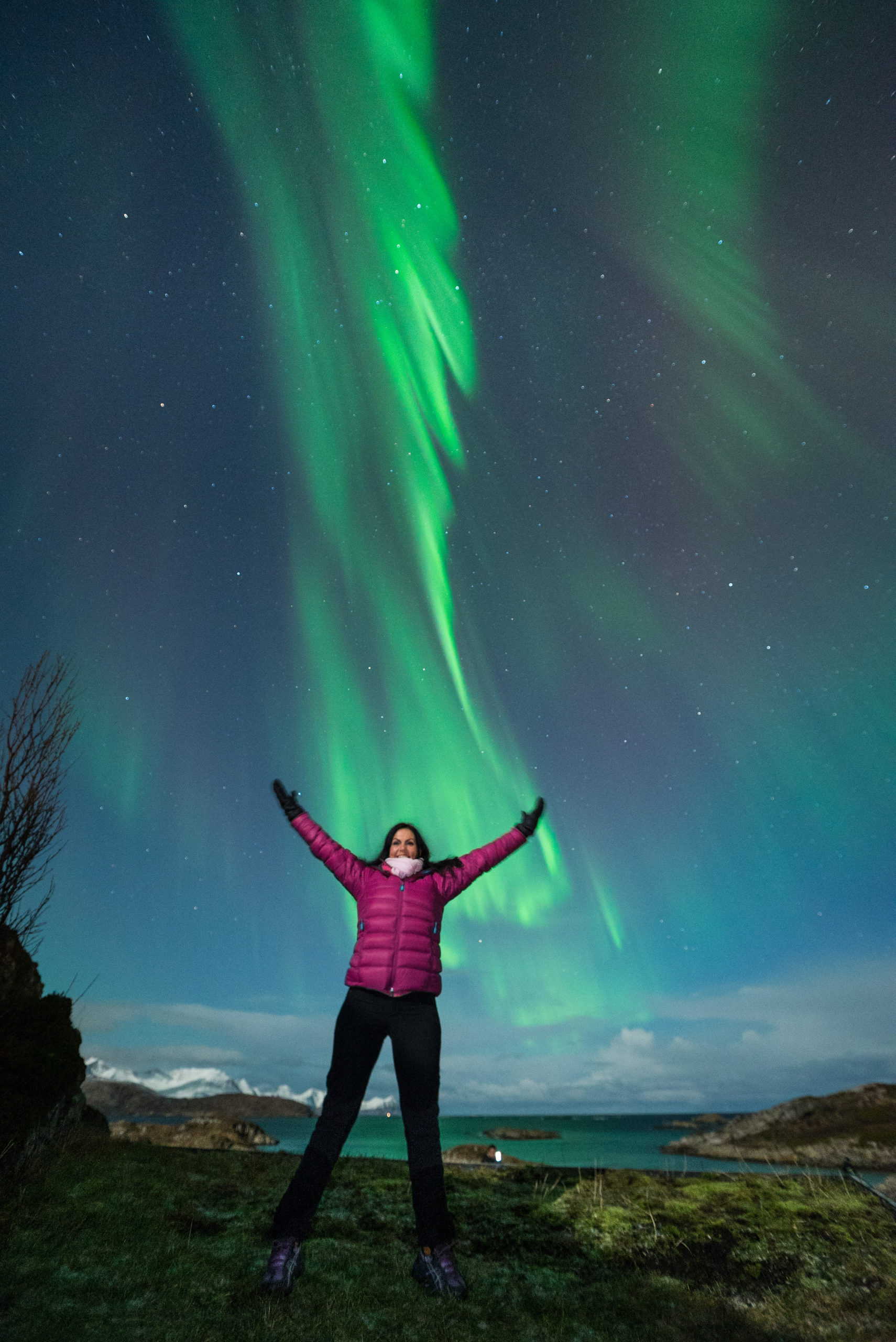 Contact Arctic Thinking