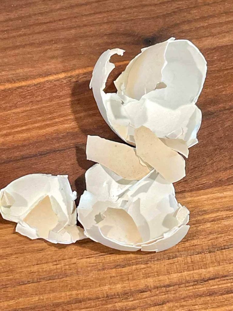 eggshells for hens why and how to free choice feed Arda Acres
