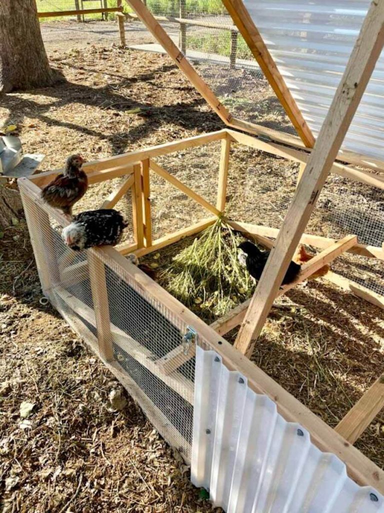 we built Justin Rhodes’ chicken tractor. here’s how much it cost