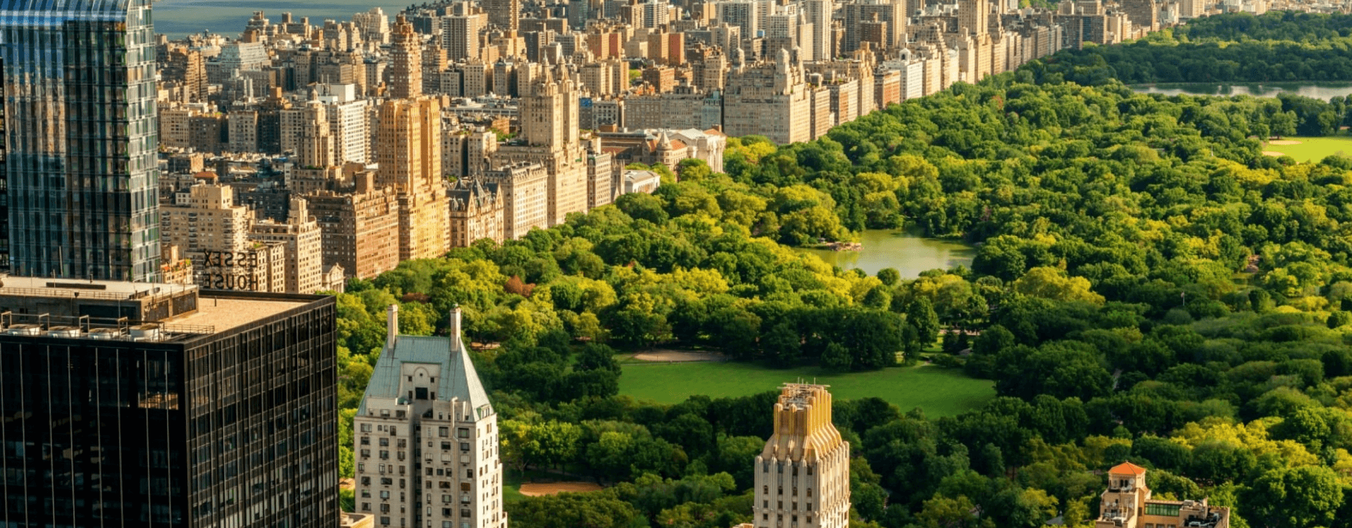 Ardsley Construction