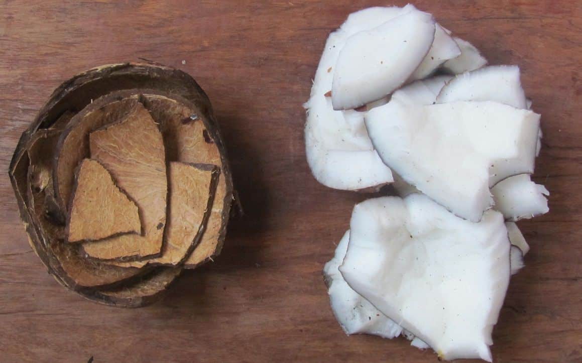 Como fazer farinha de coco Ingredientes, extração do leite e preparo