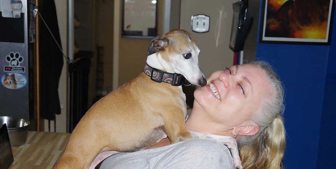 Interview AreaK9 cage free dog boarding