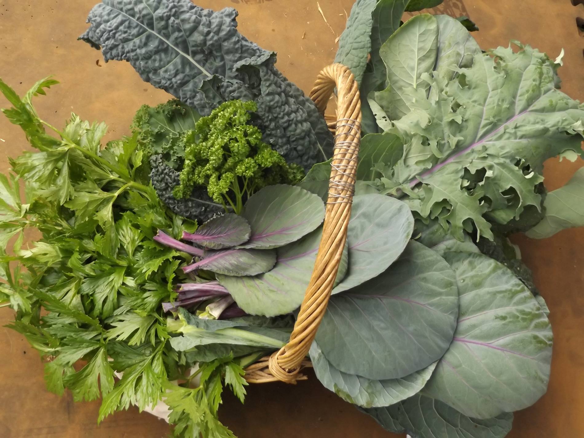 2 Ways to Preserve Leafy Greens From Your Veggie Garden ARealGreenLife