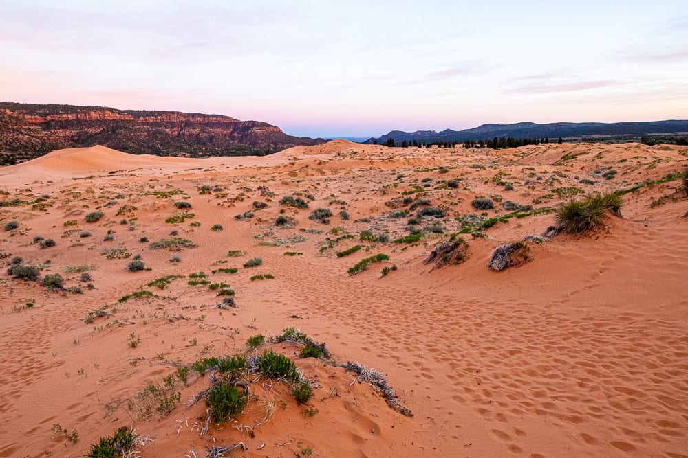 Coral Pink Sand Dunes State Park A Red Spatula