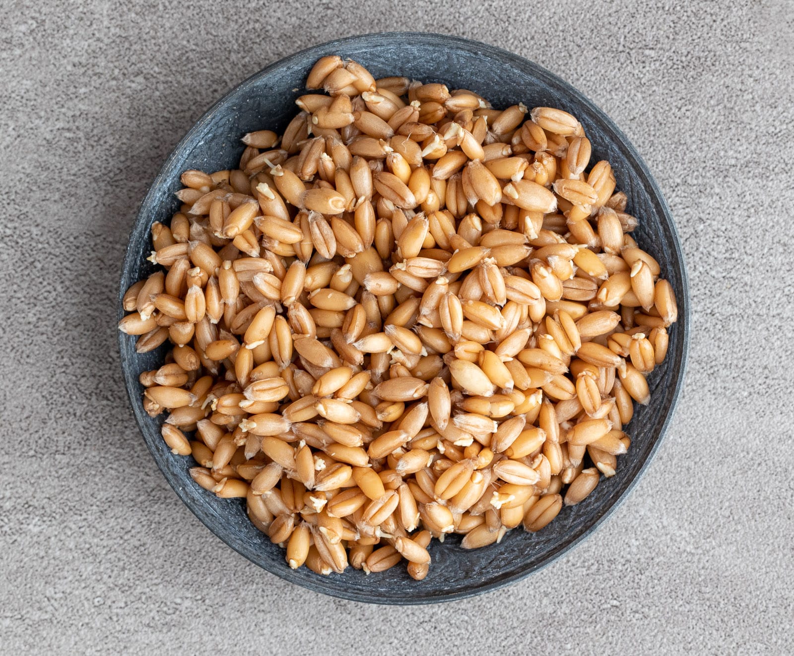 How To Sprout Whole Grains A Red Spatula