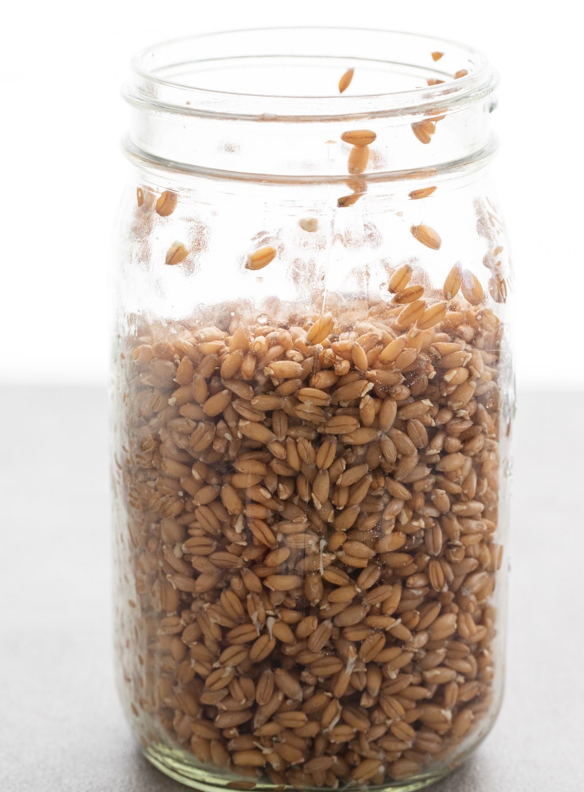 How To Sprout Whole Grains A Red Spatula