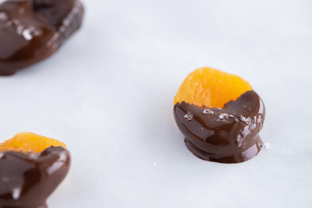 Dark Chocolate Dipped Dried Fruits A Red Spatula