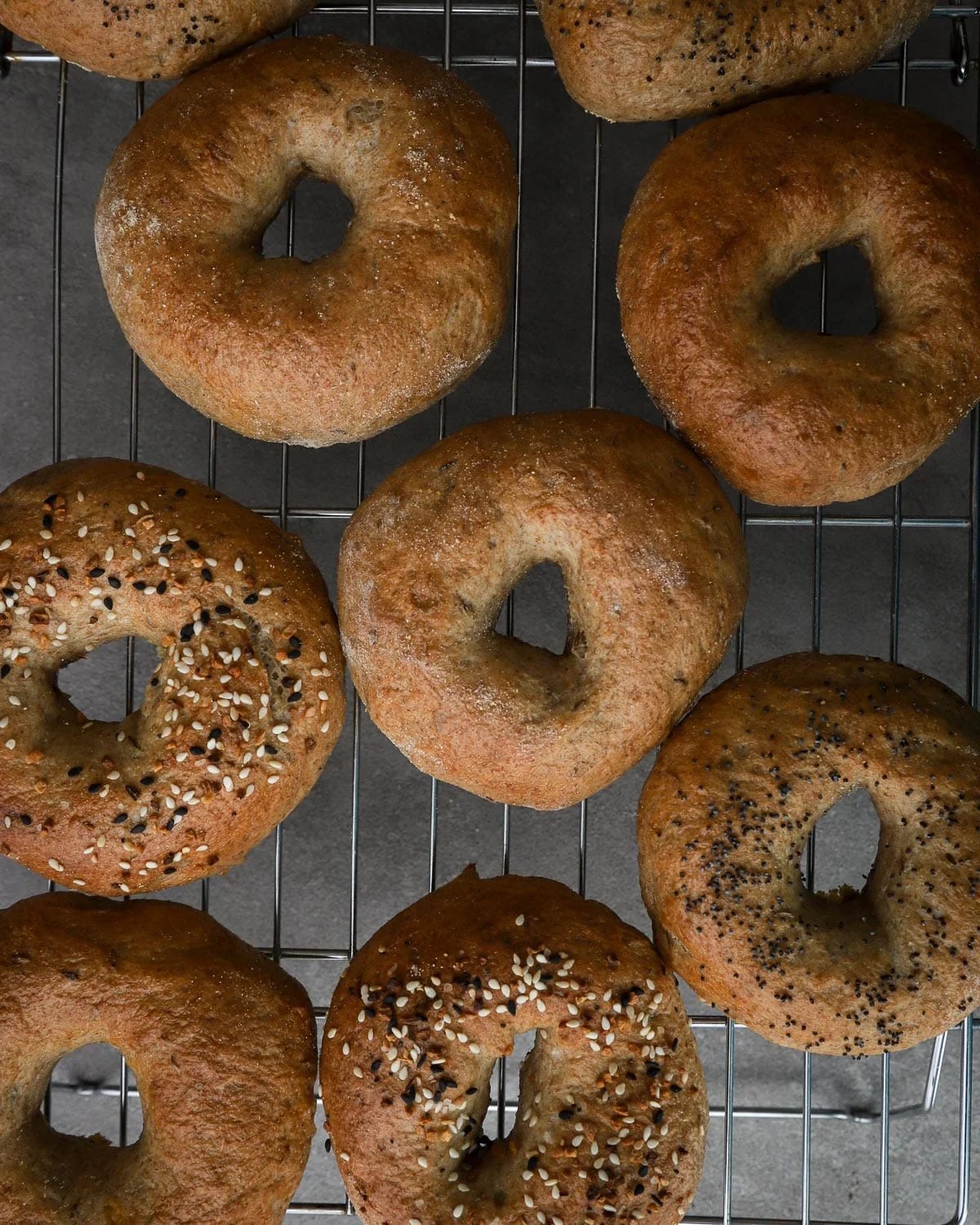 Rye Bagel Recipe A Red Spatula