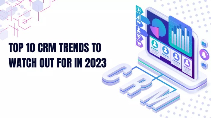 CRM Predictions for the USA in 2030