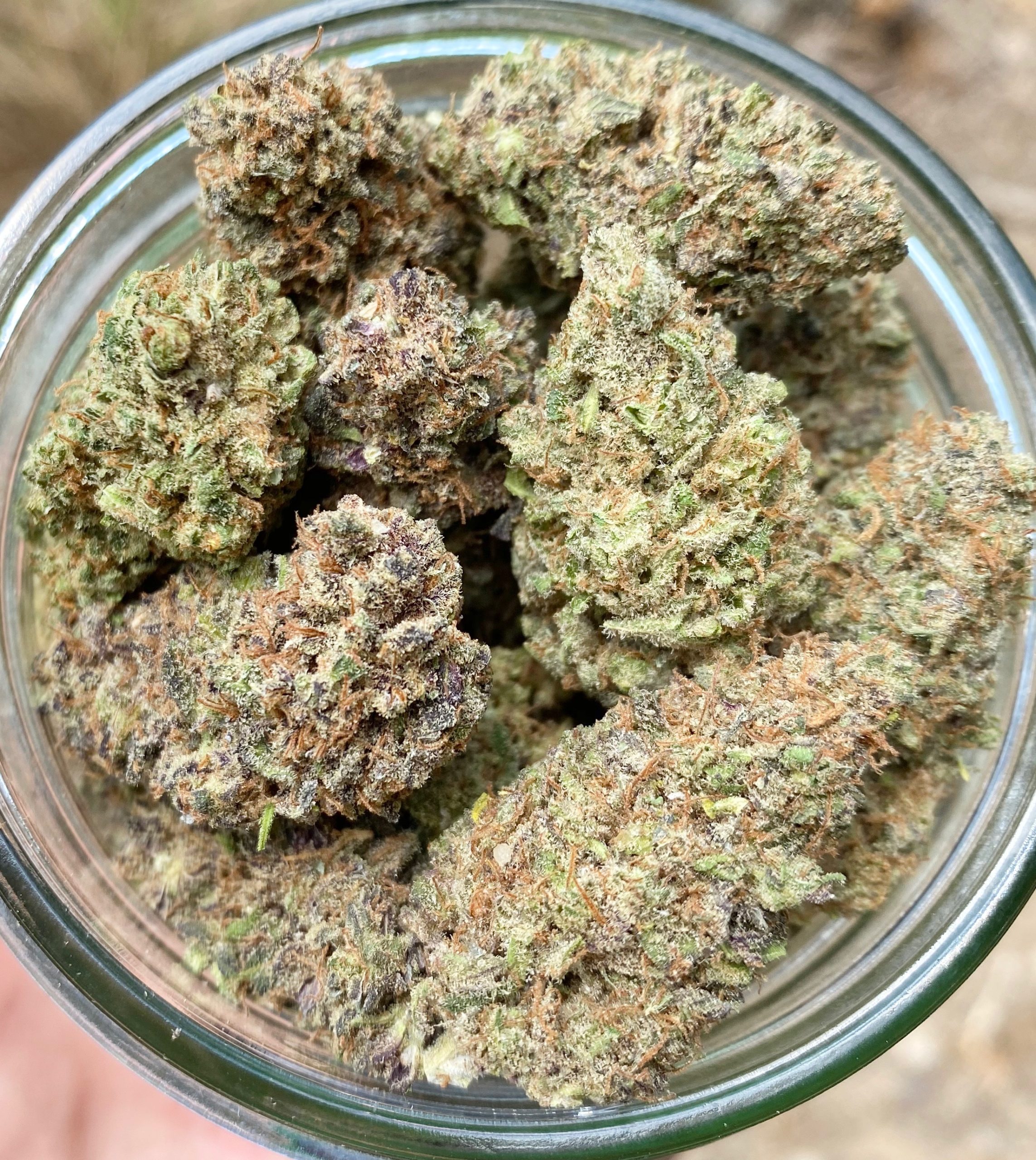 Lifted Soul Indoor Hemp Flower For Sale Buy Hemp Flower