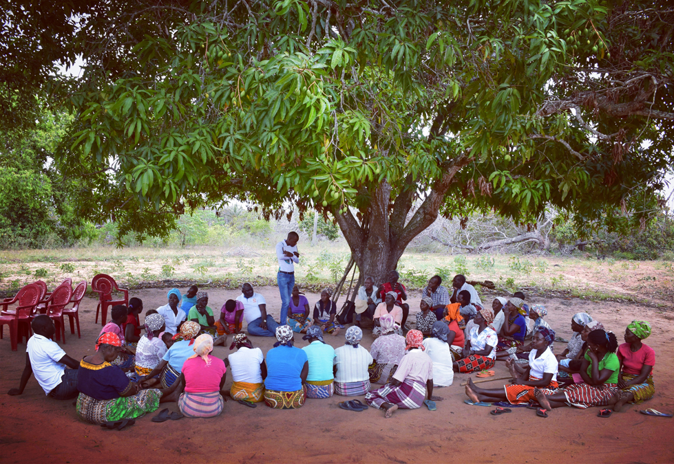 Under the mango tree