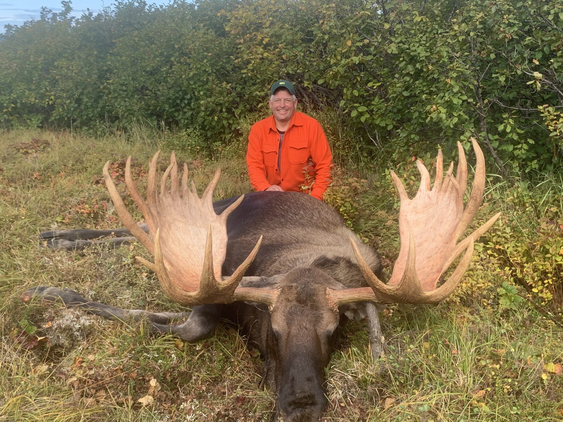 Alaska Bear Hunting and Moose Hunting Gallery