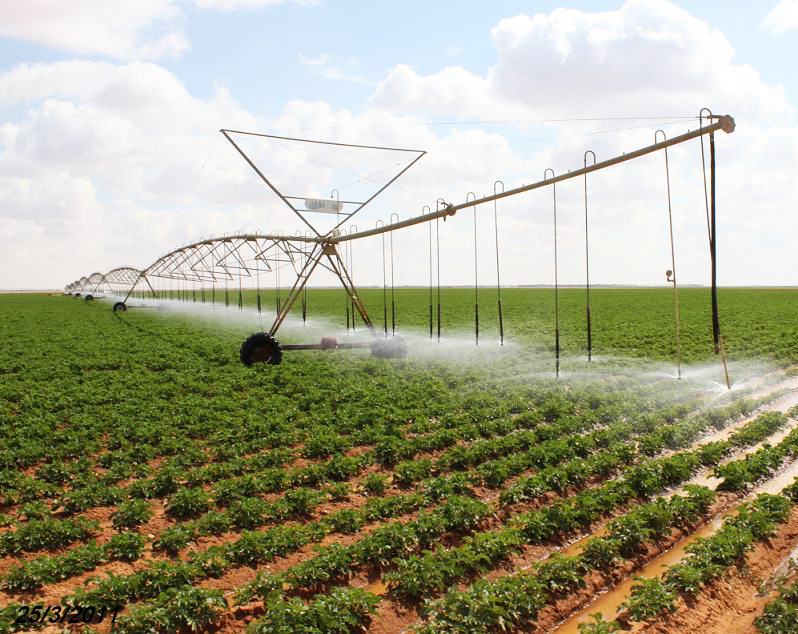 Saudi agricultural fund approves loans worth SAR 87 mln