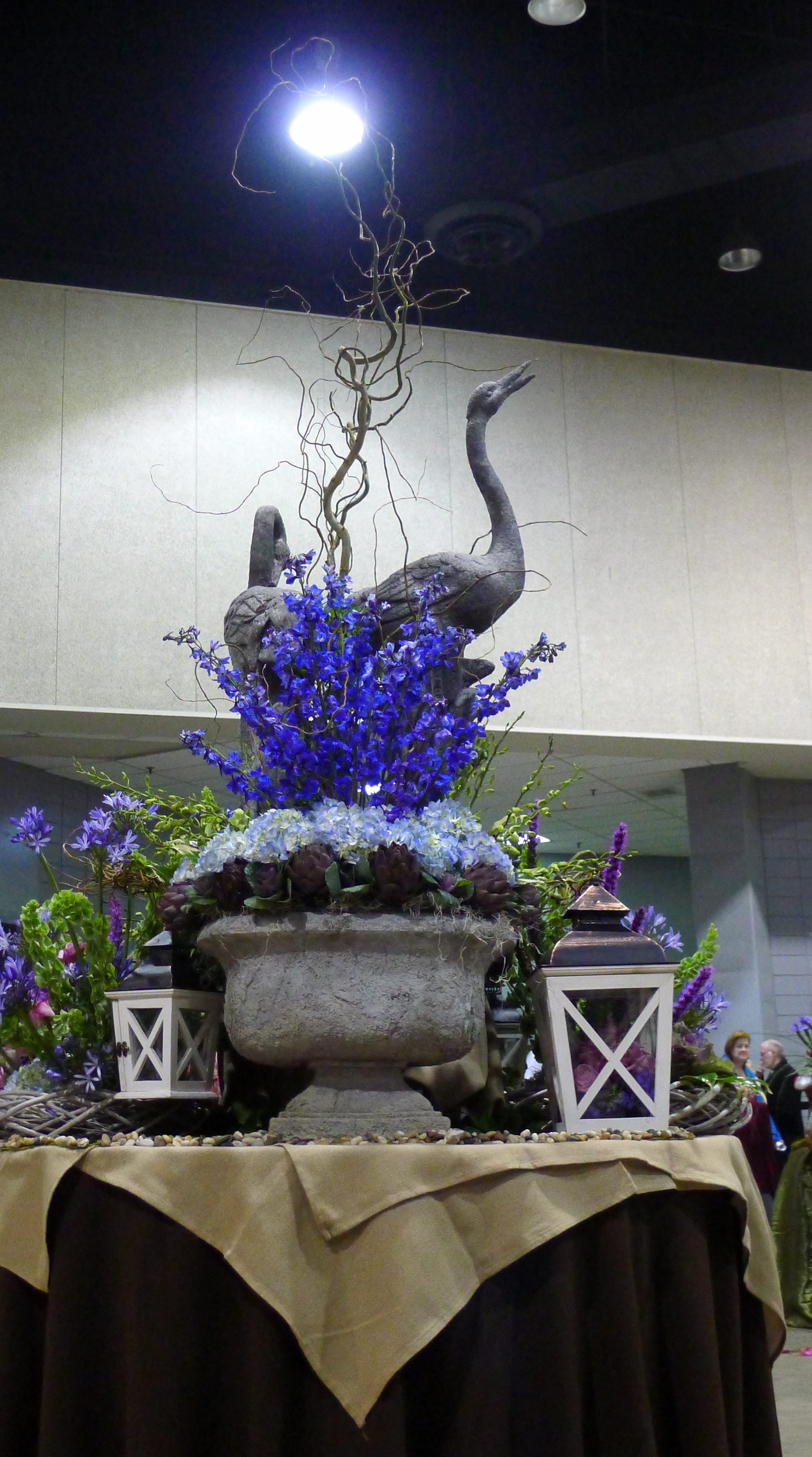 2-23_Contest_Garden2_25