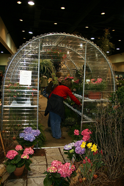 2008 Mini Greenhouse