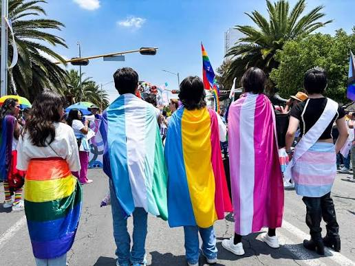 La Justicia frenó el DNU de Milei que restringía derechos de las infancias trans