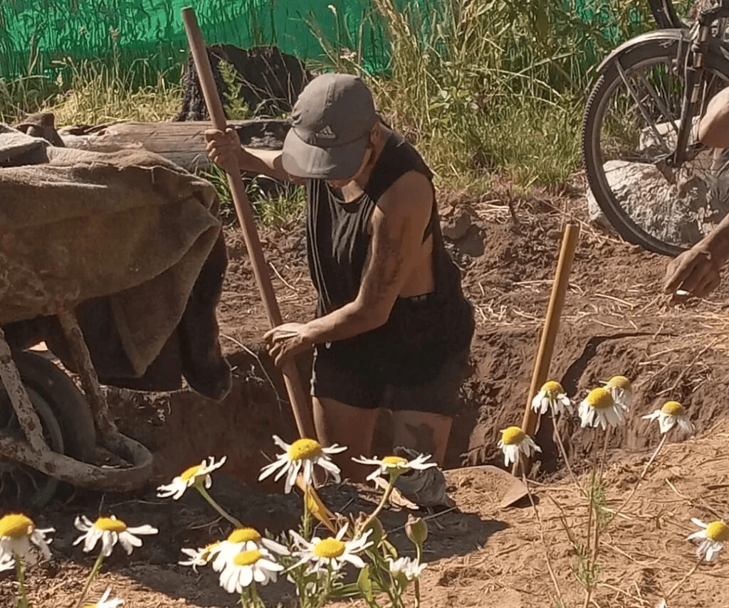 Villa Travesti: una comunidad travesti-trans que construye otra forma de vivir en el Wallmapu