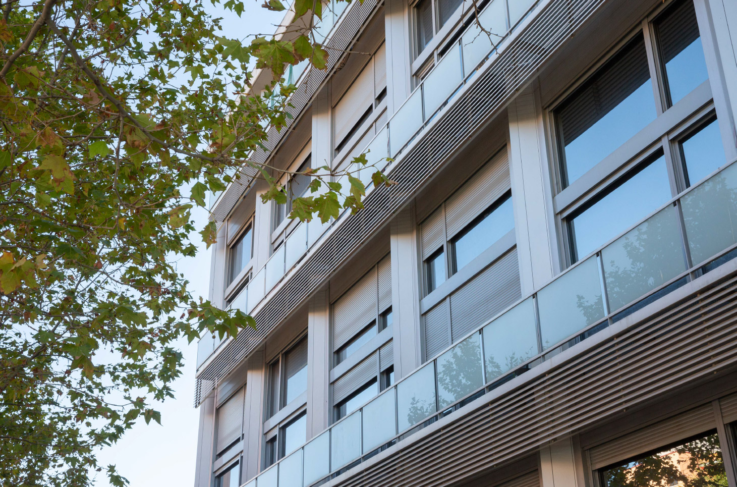 BUENAVISTA LOFTS ARGIS Living