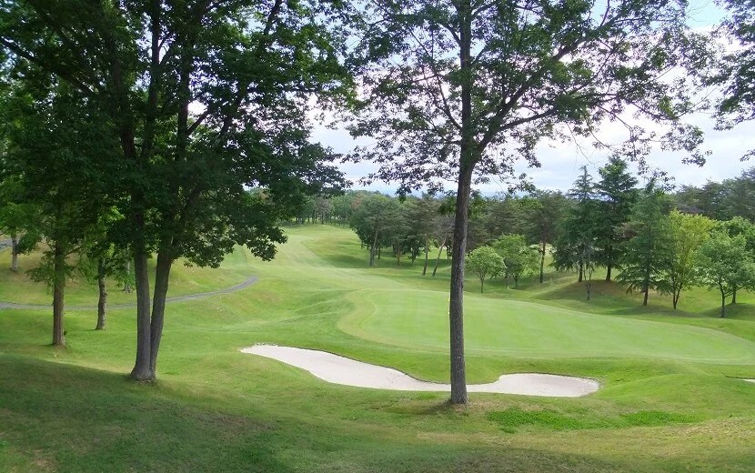 永井花奈のクラブセッティング!飛距離やクラブ契約やウェア2021は？ ゴルフを愛するサボリーマンの下手の横好き日記