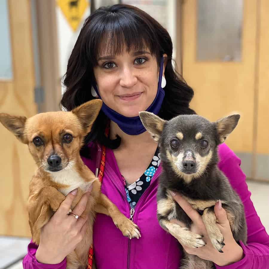 Eva & Ellie Argos, A Shelter Dog Rescue