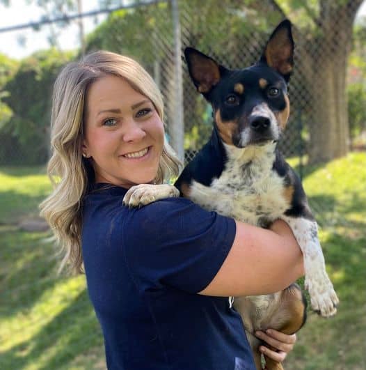 Echo Argos, A Shelter Dog Rescue