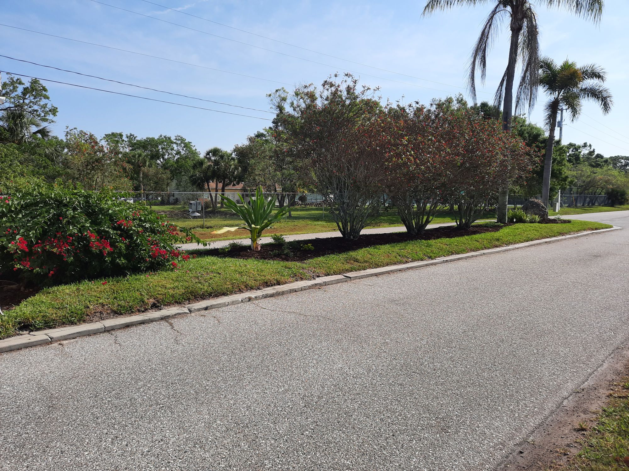 Venice Acres Argus Management of Venice, Inc