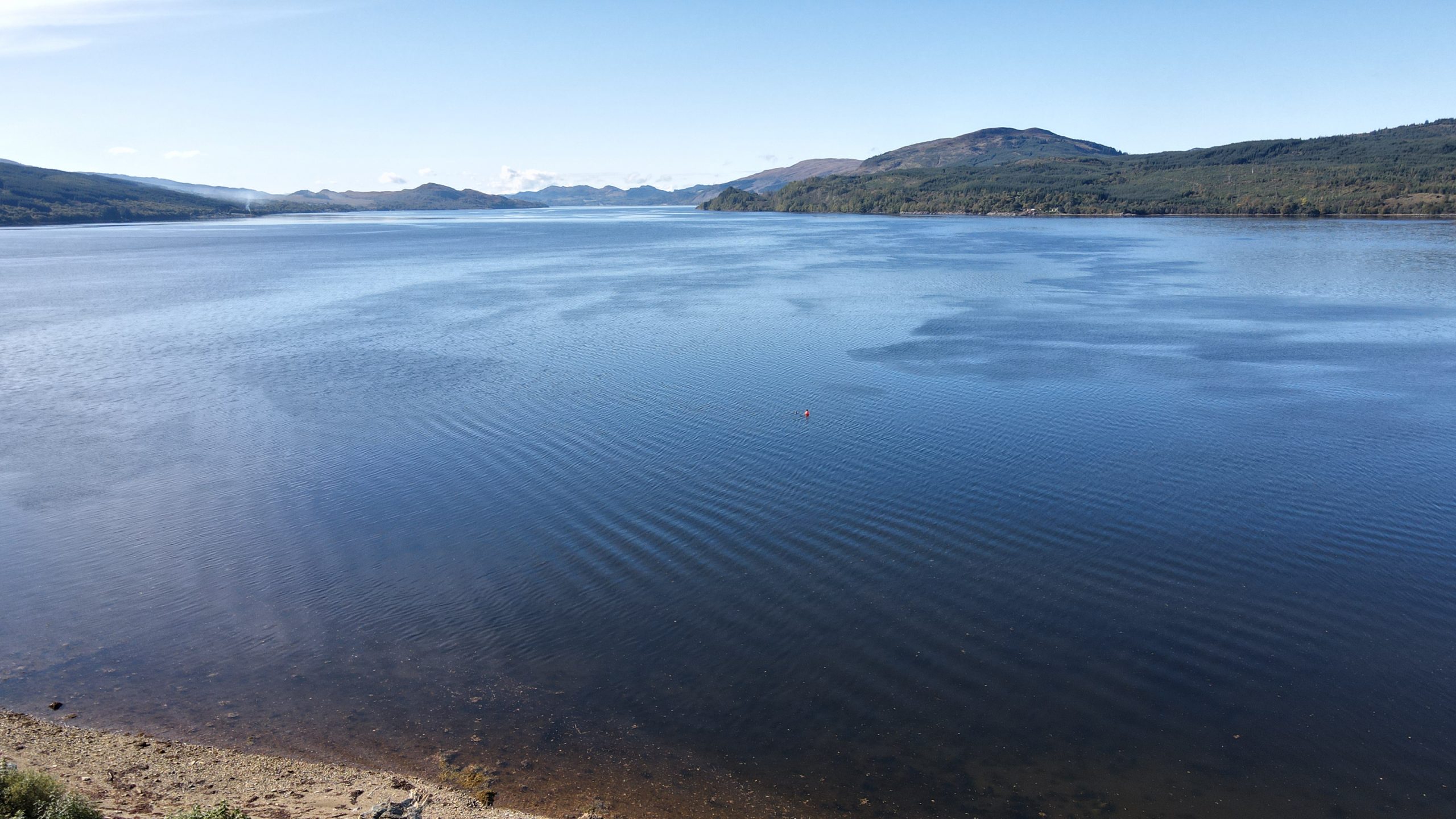 Argyll Estate Agents