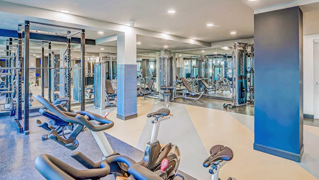 Amenities Page Aria University District