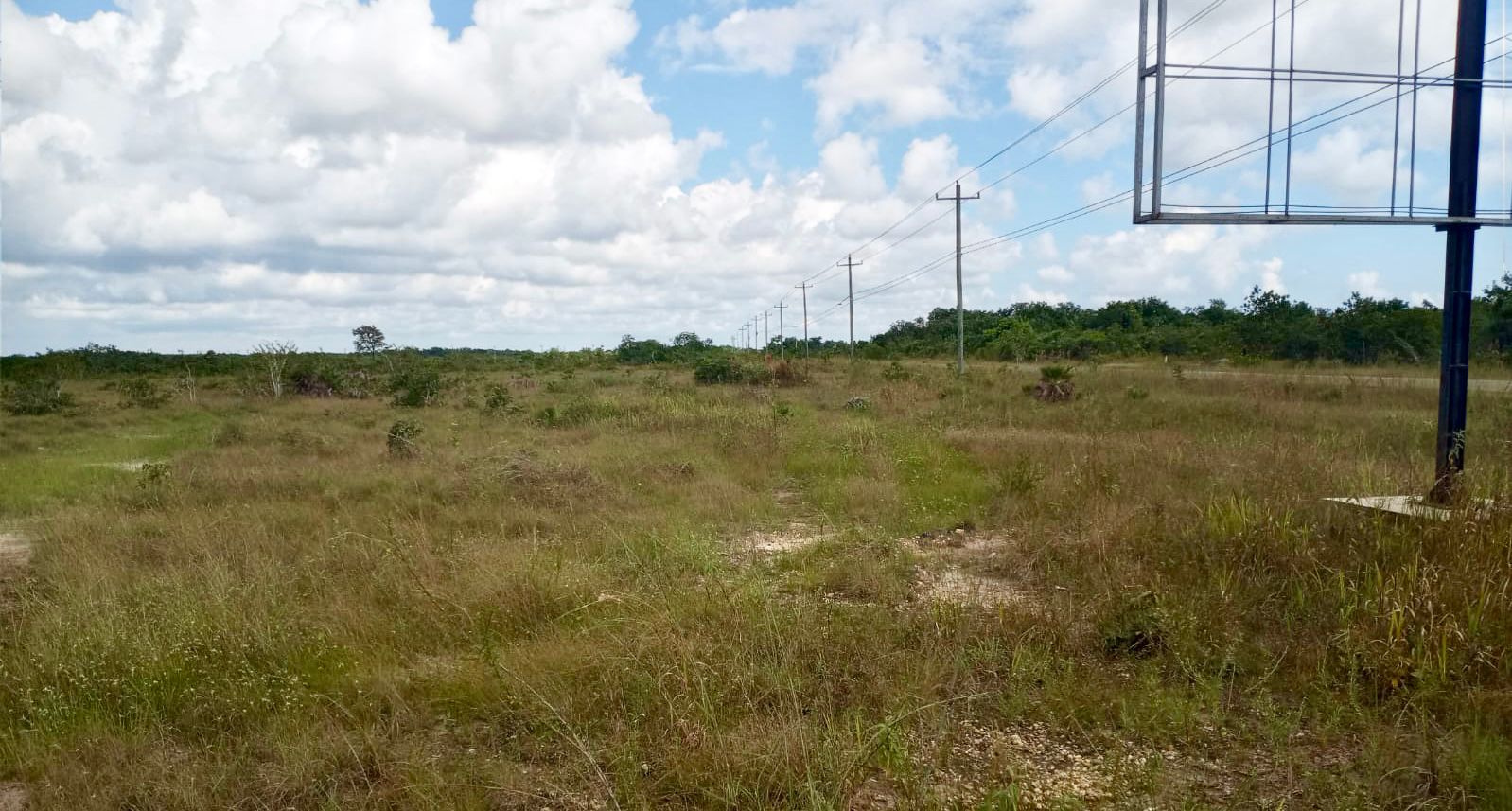 100 1/4 Acre Lots for Sale Burrell Boom Village, Belize