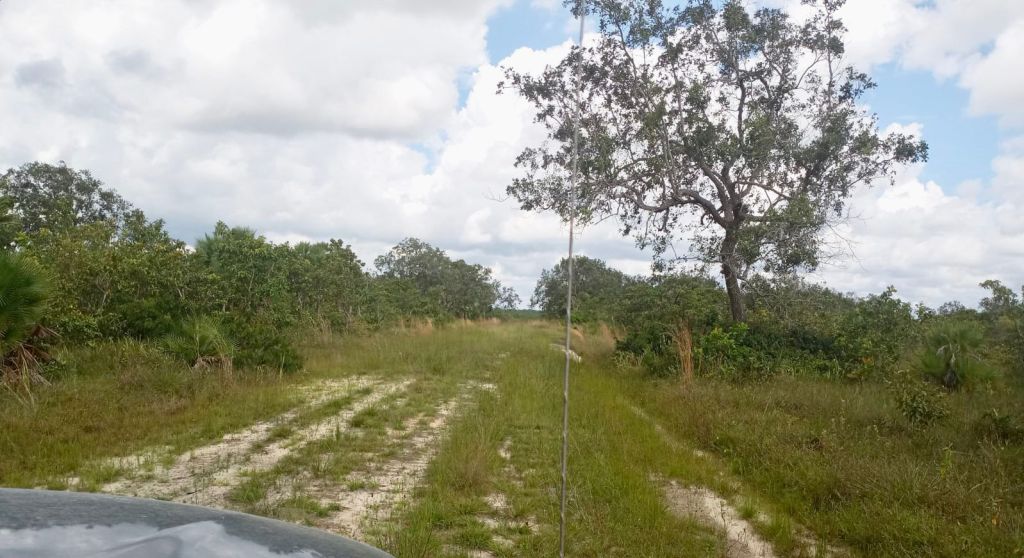 100 1/4 Acre Lots for Sale Burrell Boom Village, Belize