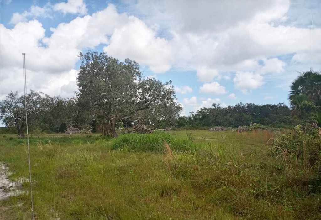 100 1/4 Acre Lots for Sale Burrell Boom Village, Belize