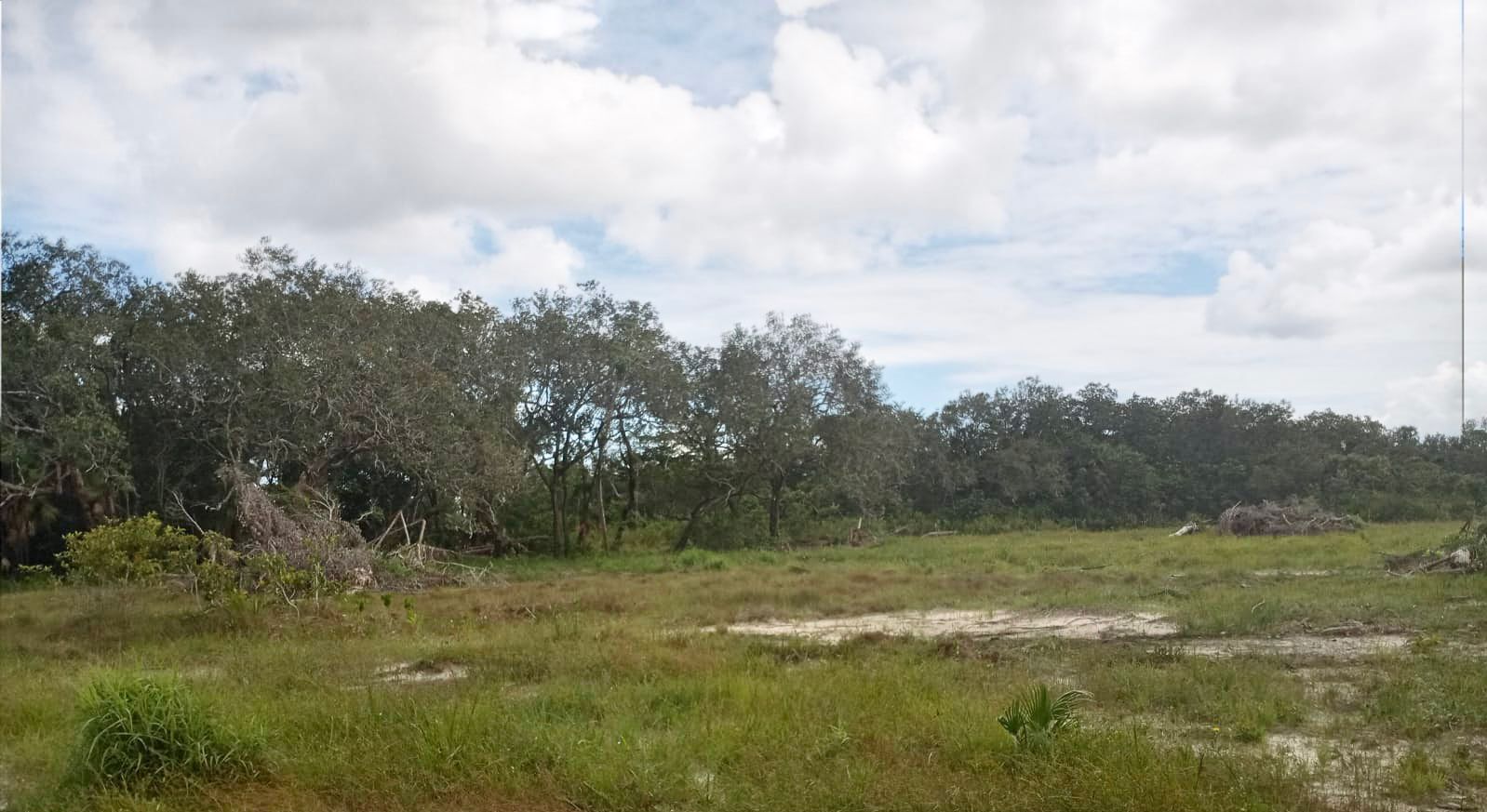 100 1/4 Acre Lots for Sale Burrell Boom Village, Belize