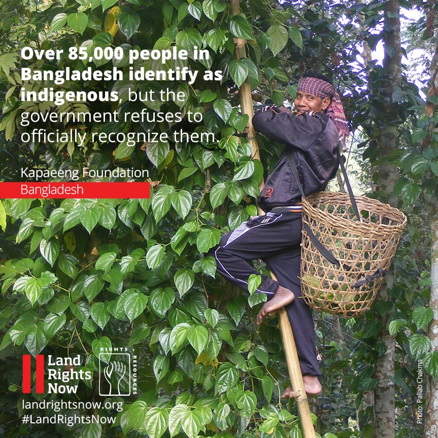 Land Rights Now social media campaigns Ariana RG, LLC