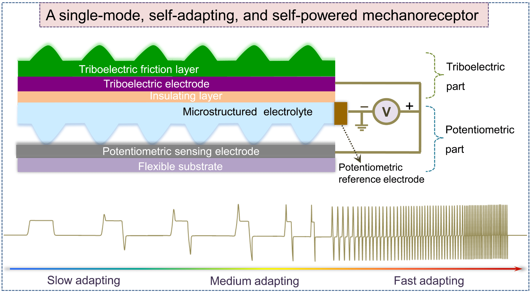 Arias Research Group Home