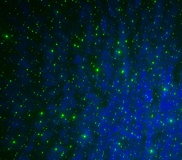 LED Special Effects Lighting The Aries Company