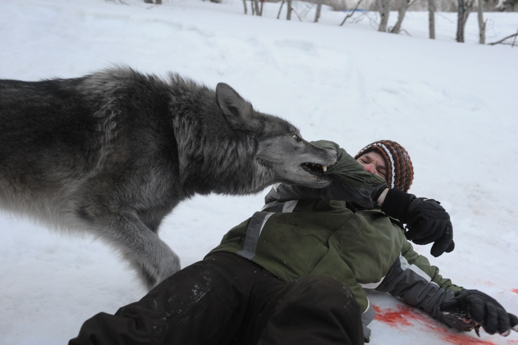 Frozen Ski Lift HorrorWatch Full Movie Online Free Without Downloading Or Signing Up golftemovie