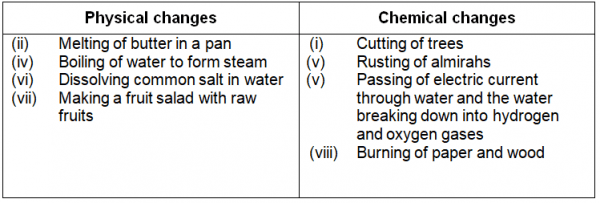 Physical and Chemical Changes Science Class 9 Chapter 2