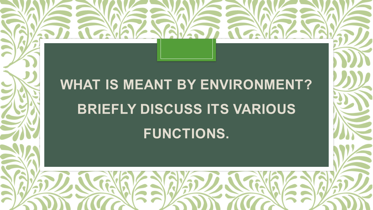 What is meant by environment? Briefly discuss its various functions