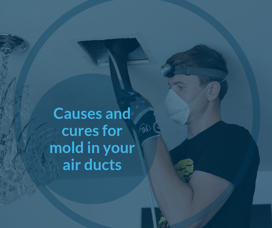 Mold in Air Ducts? How It Got There & How To Get Rid of It