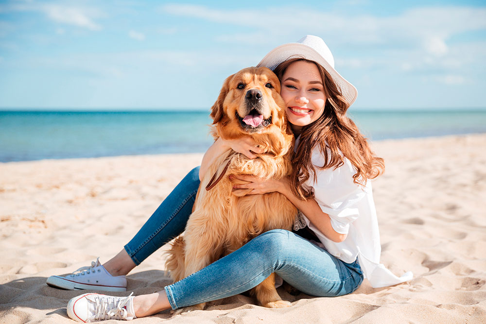 THE ARISTOPETERS contenido exclusivo para amantes de las mascotas