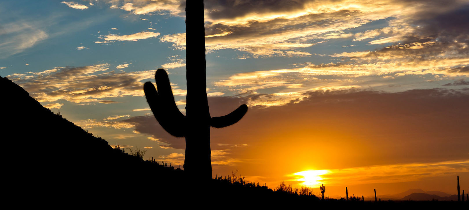 Picacho Peak State Park Arizona
