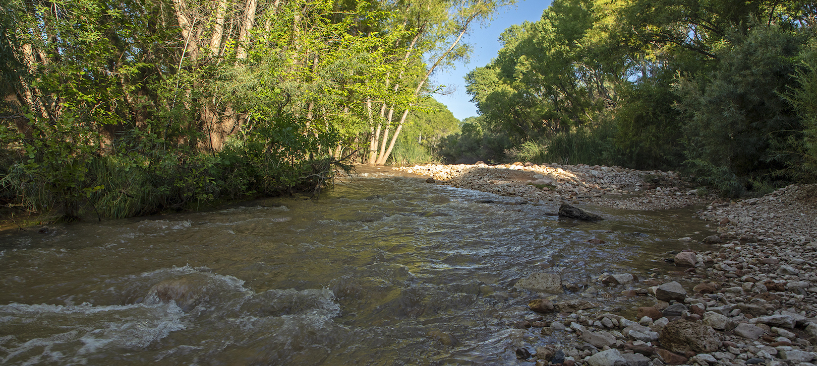 Verde River Greenway State Natural Area Arizona
