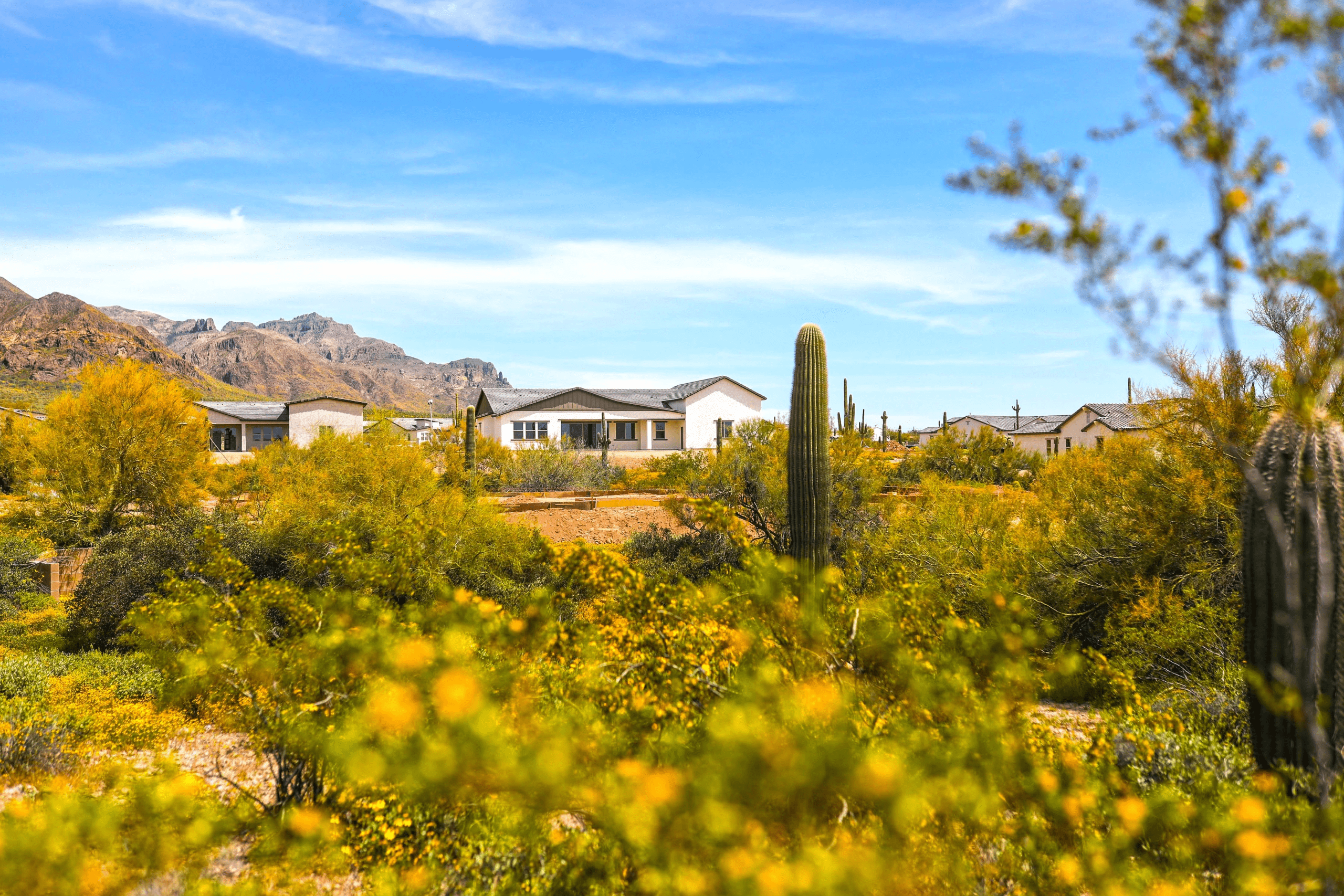 Arroyo Vista Arizona Builder Sales