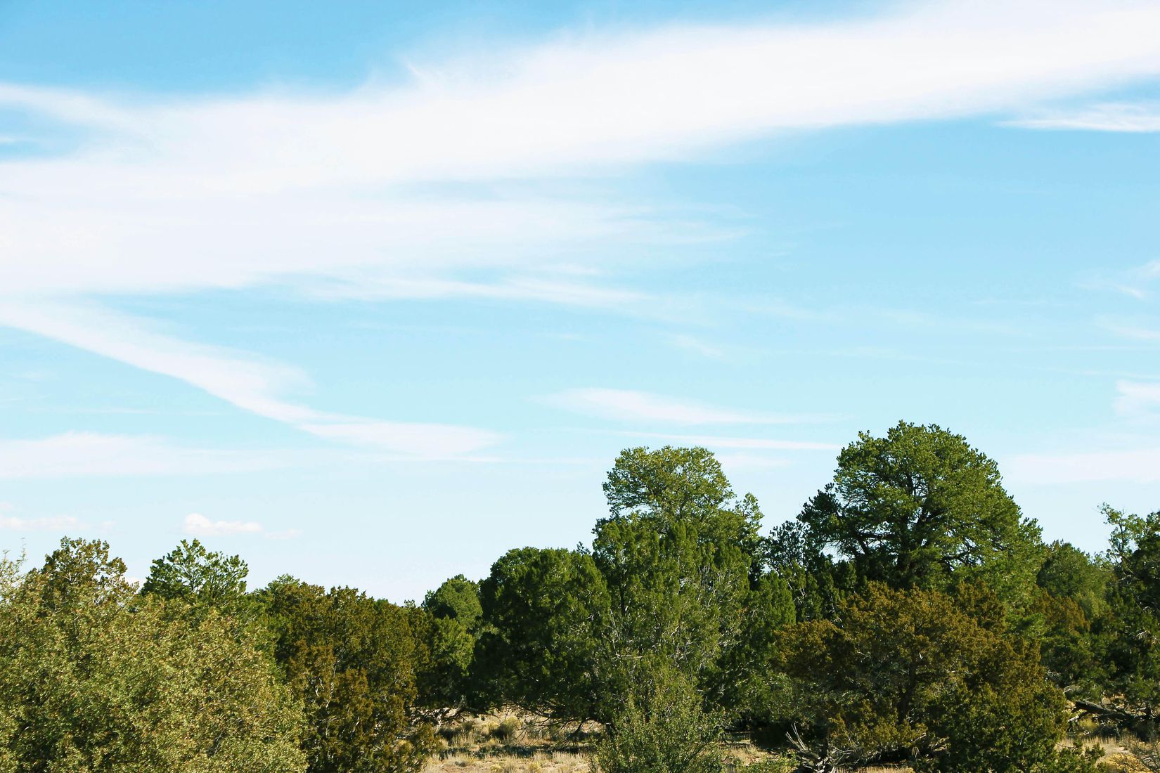 Apache County Northern AZ Ranch Arizona Land for Sale