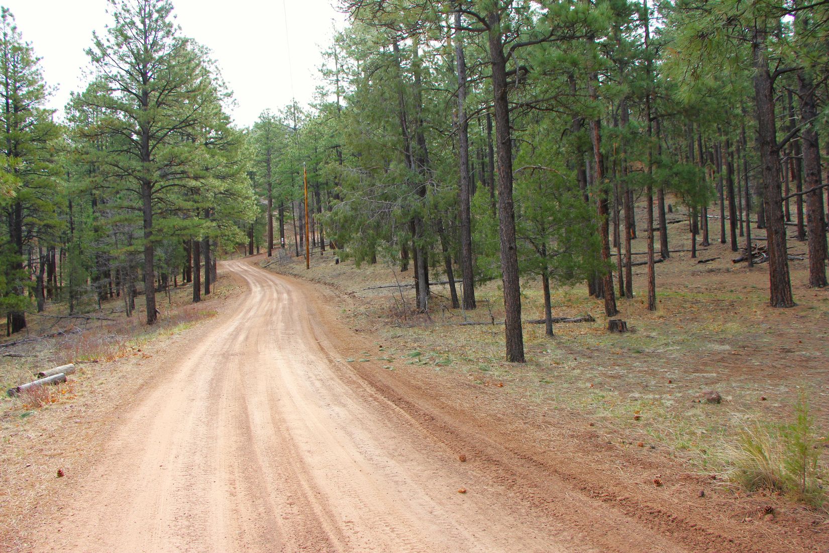 Apache County Historic Nutrioso Arizona Land for Sale