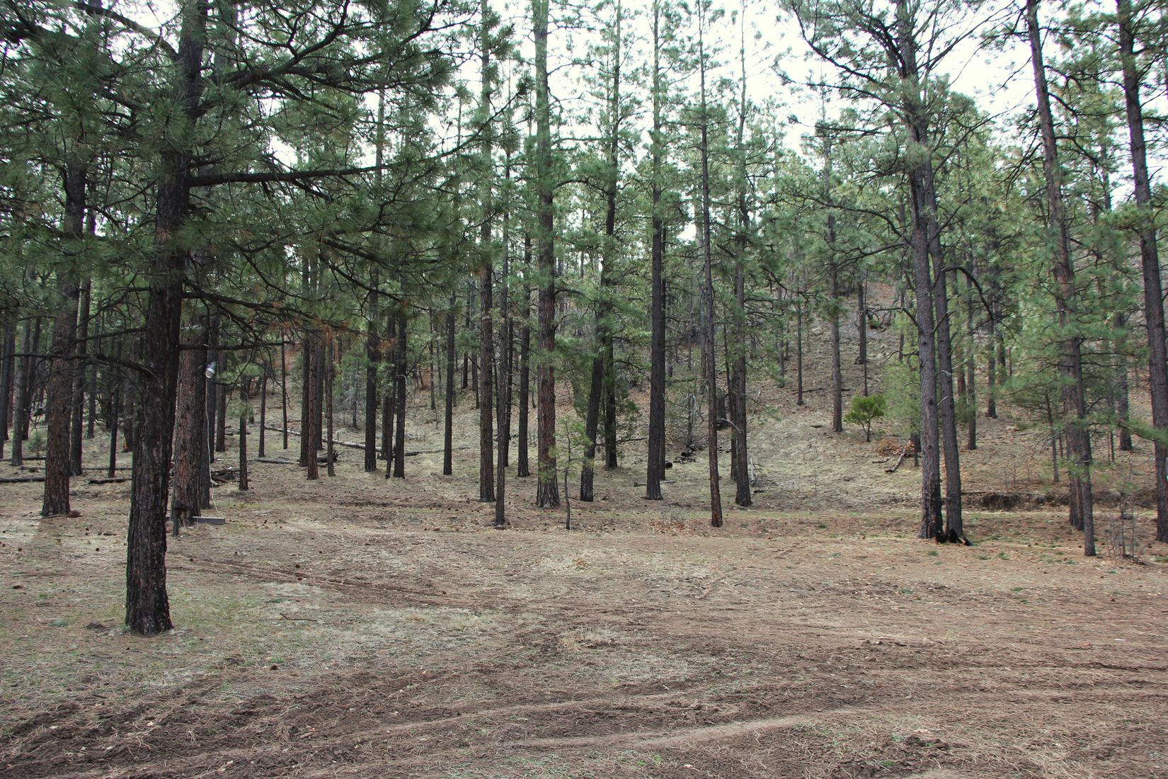 Apache County Historic Nutrioso Arizona Land for Sale