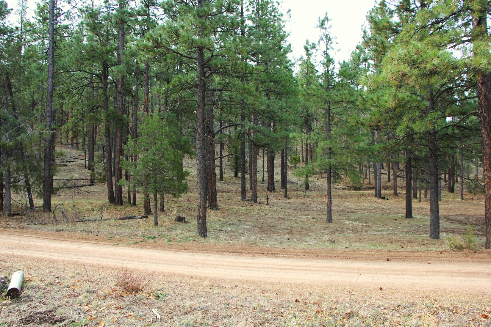 Apache County Historic Nutrioso Arizona Land for Sale