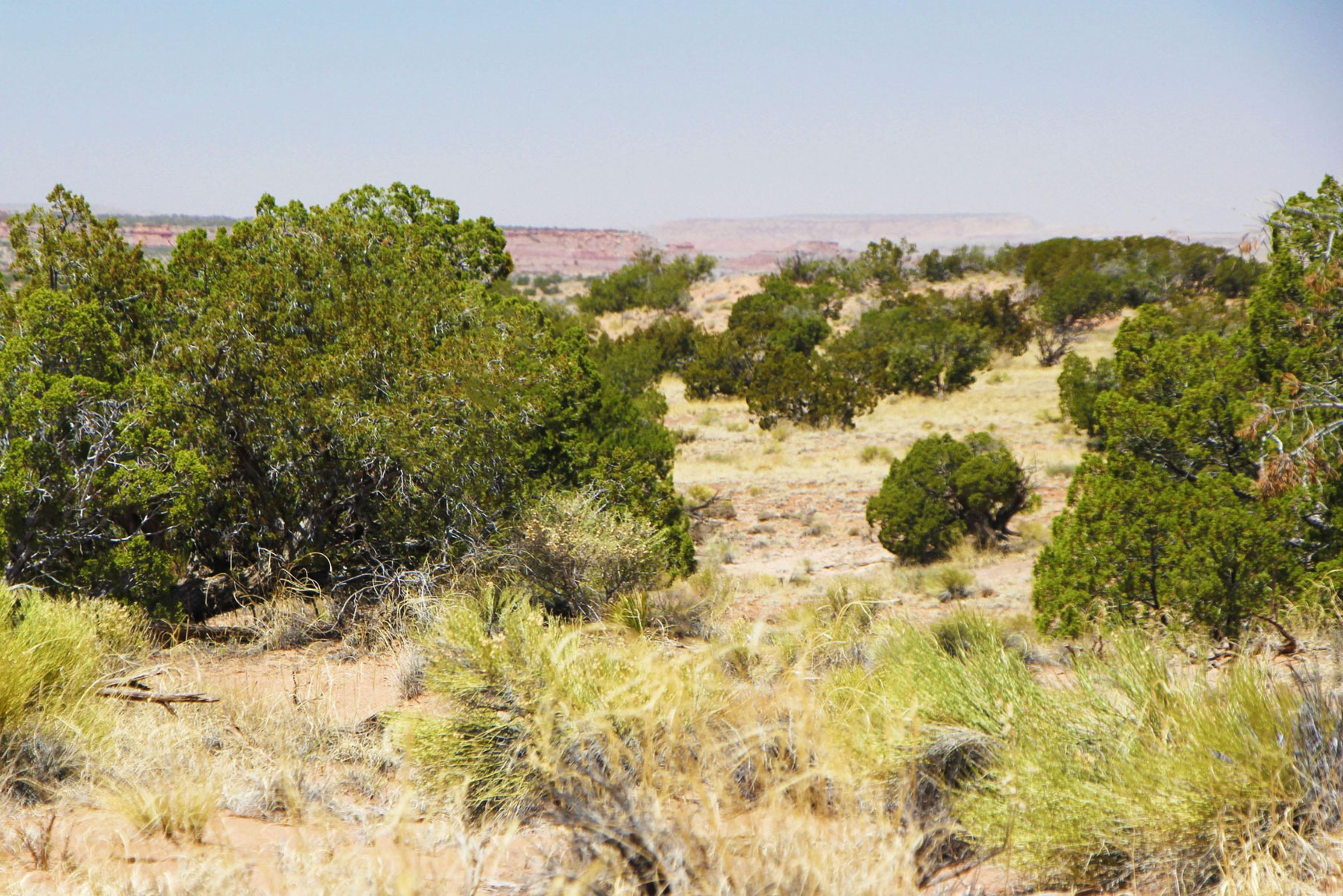 38 Acre Arizona Highlands Ranch Arizona Land for Sale