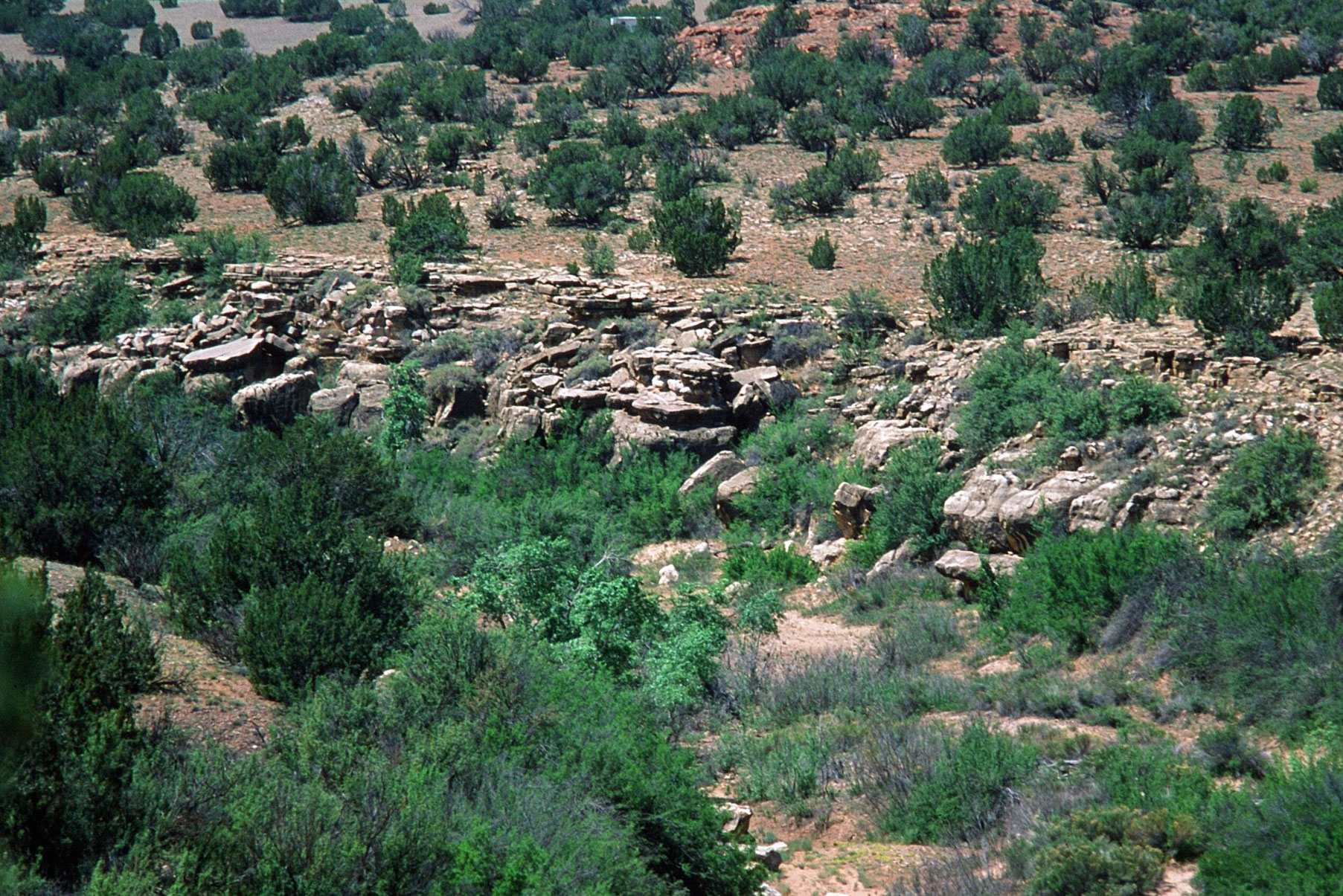 Black Canyon Creek Ranch Arizona Land for Sale